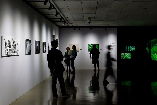 佳能行摄生态中国影像盛典暨鸟者边缘摄影艺术展在京举办插图14 佳能行摄生态中国影像盛典暨鸟者边缘摄影艺术展在京举办插图14