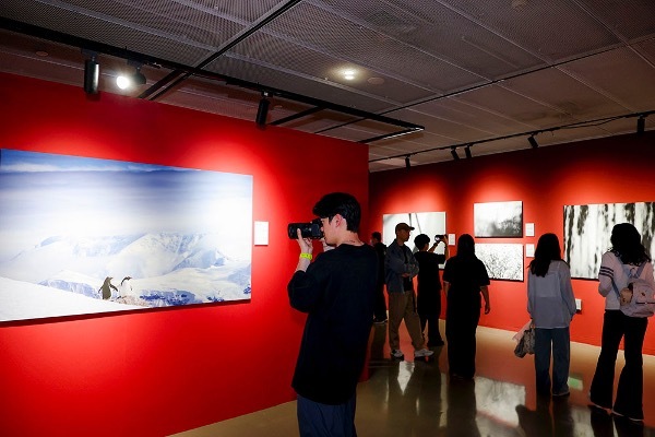 佳能行摄生态中国影像盛典暨鸟者边缘摄影艺术展在京举办插图15 佳能行摄生态中国影像盛典暨鸟者边缘摄影艺术展在京举办插图15