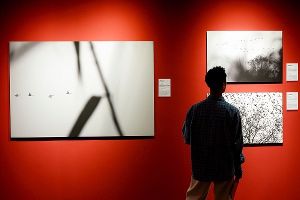 佳能行摄生态中国影像盛典暨鸟者边缘摄影艺术展在京举办插图16 佳能行摄生态中国影像盛典暨鸟者边缘摄影艺术展在京举办插图16