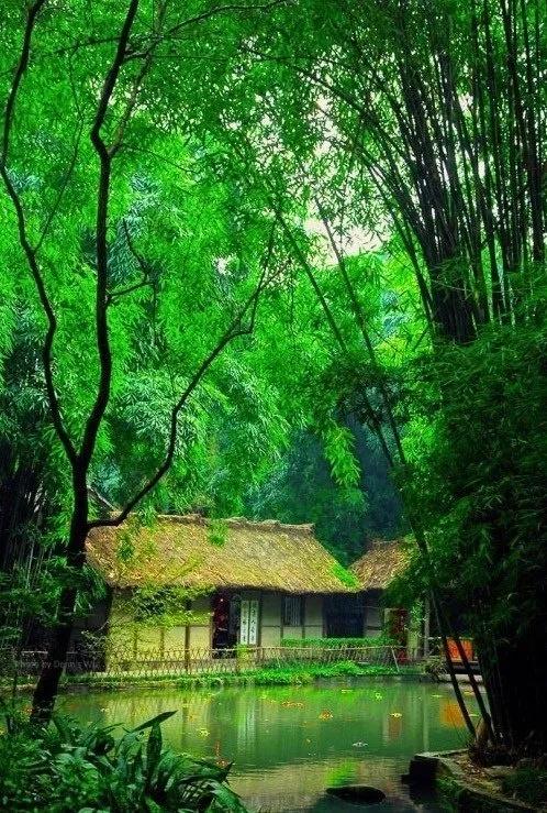 摄影初学者必须了解的摄影知识插图2