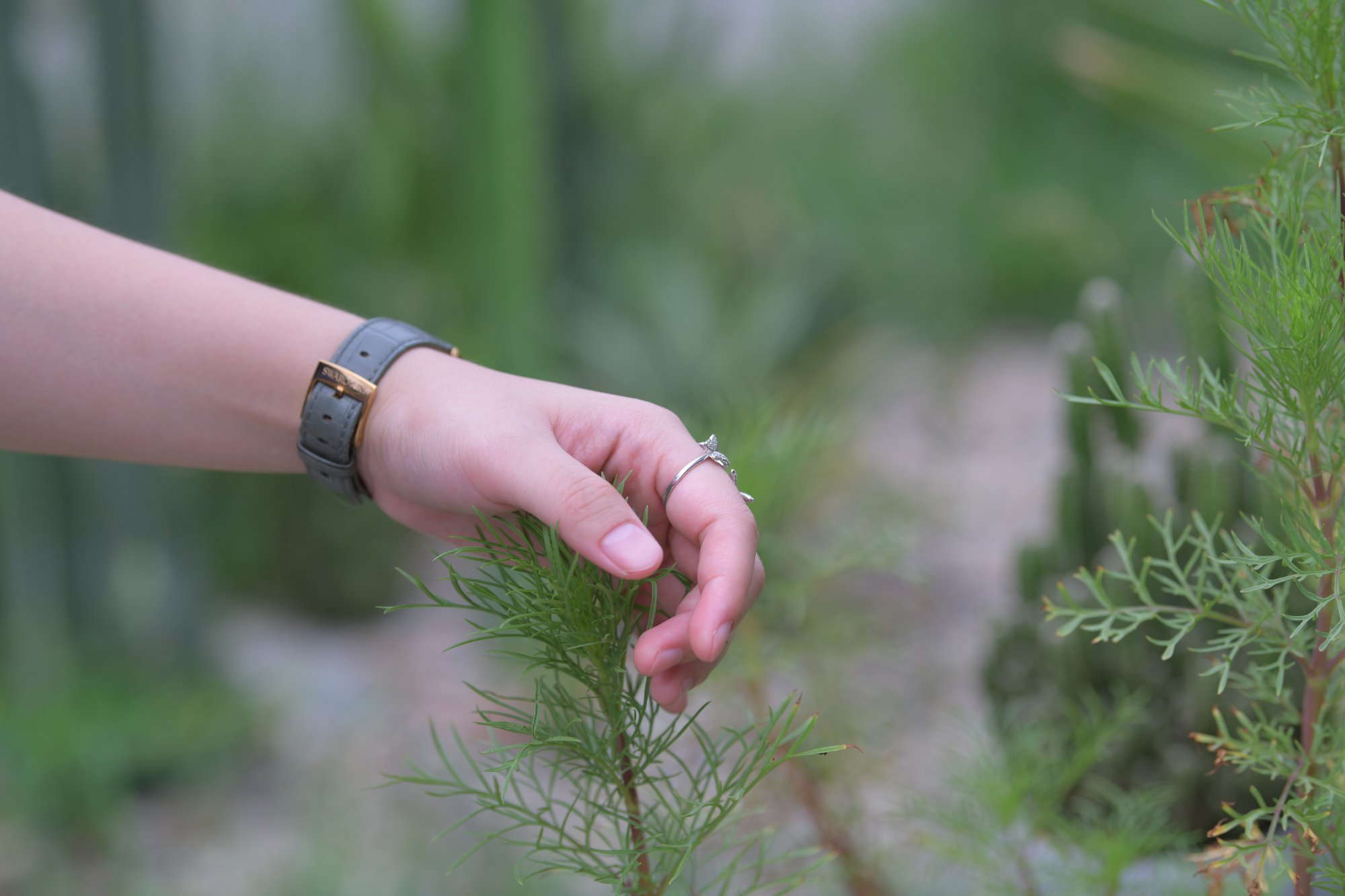 精选街拍作品 NO.2832 一始街拍作品 – 迷失之境[743P/1.43GB]插图