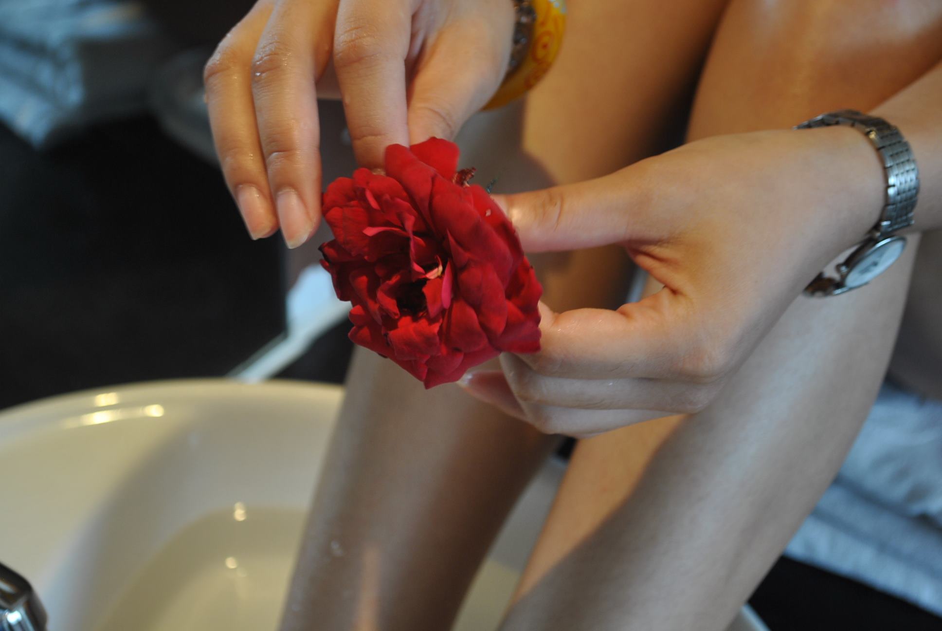 自由摄影 No.221 玫瑰带刺 [37P/36MB]插图2