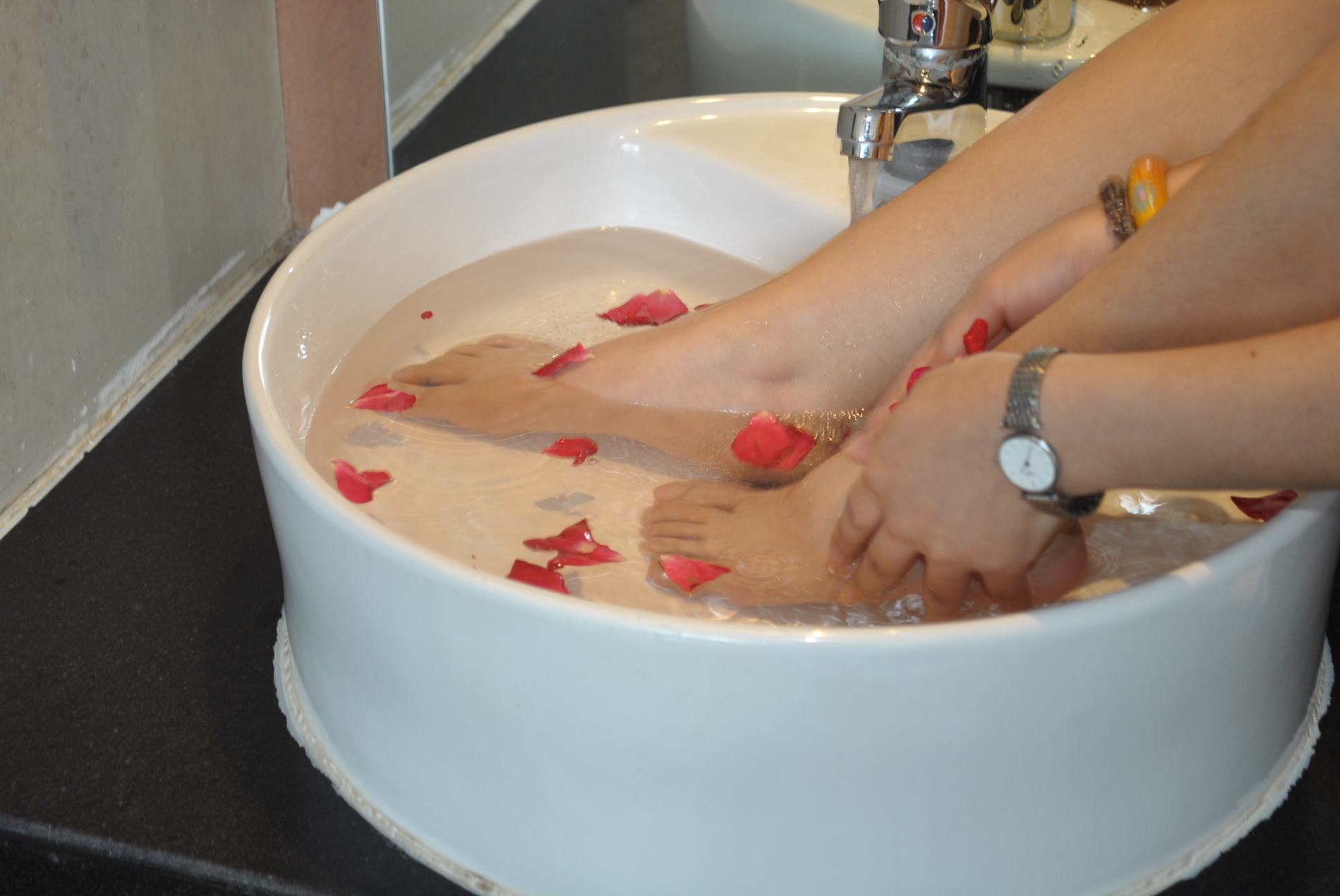 自由摄影 No.221 玫瑰带刺 [37P/36MB]插图4