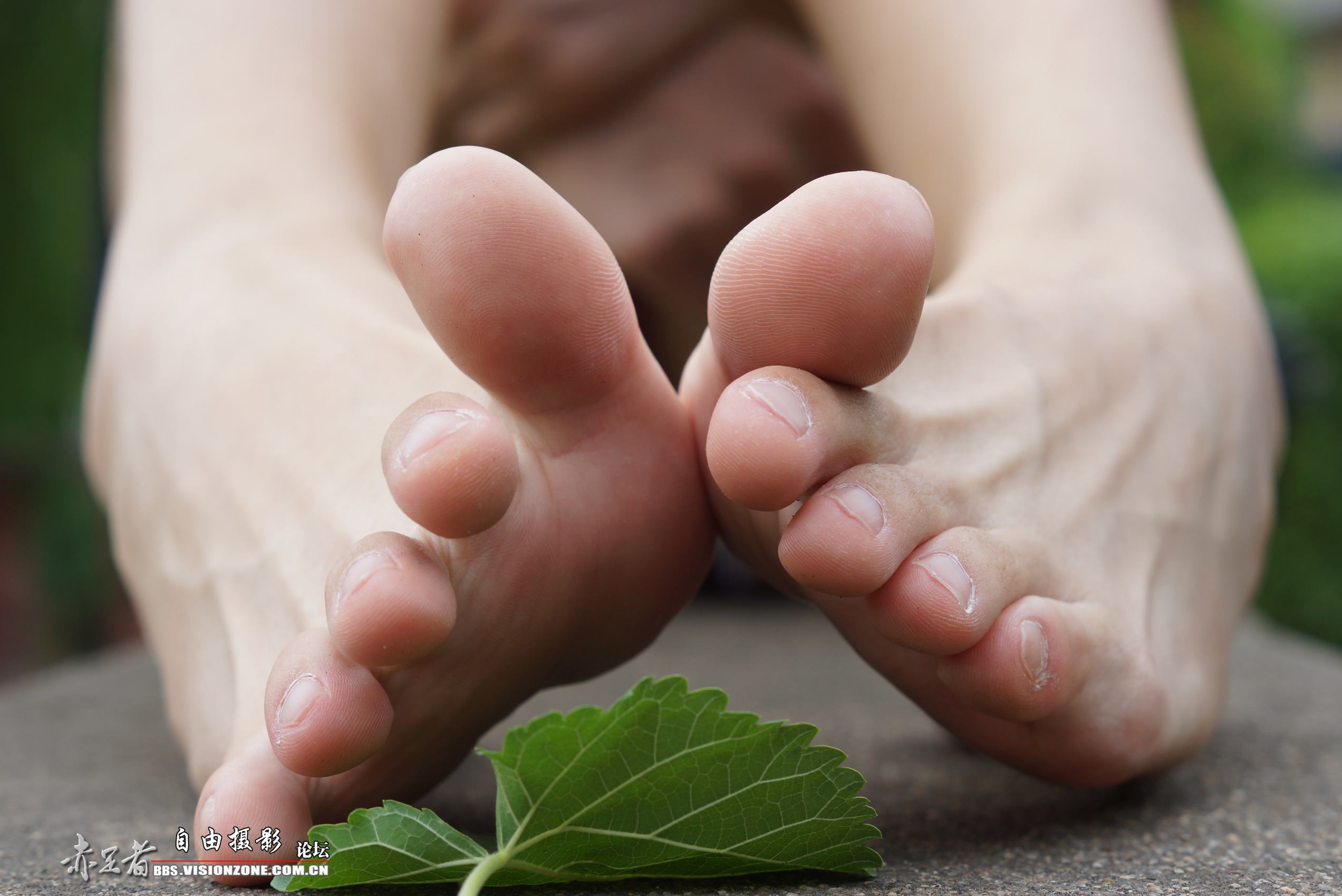 自由摄影 No.248 高感特写 裸足 [69P/122MB]插图5