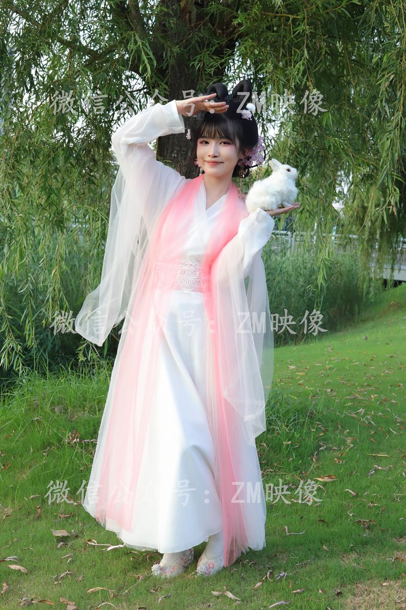 织梦翩若惊鸿-完整版 [300P/1V/7.86G]插图2