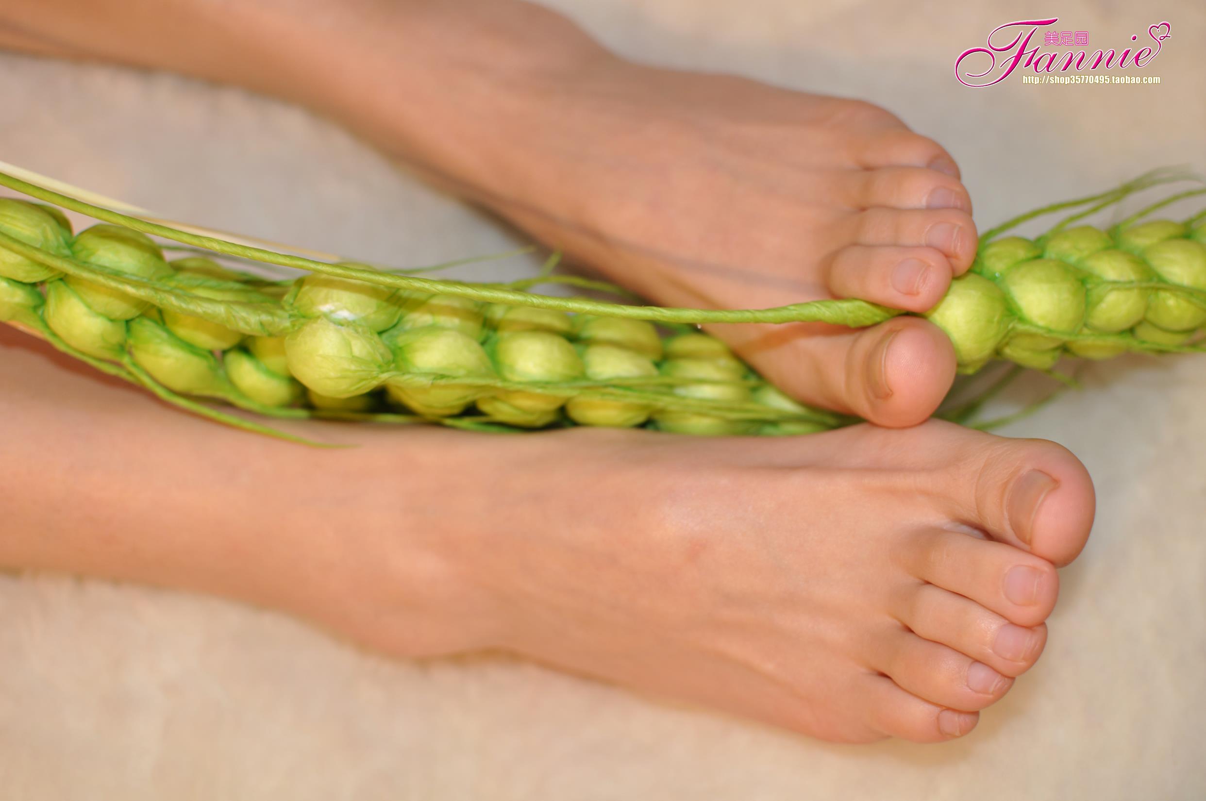 Fannie芬妮每足园 No.579 玉趾如蚕向花语4[95P/270MB]插图1