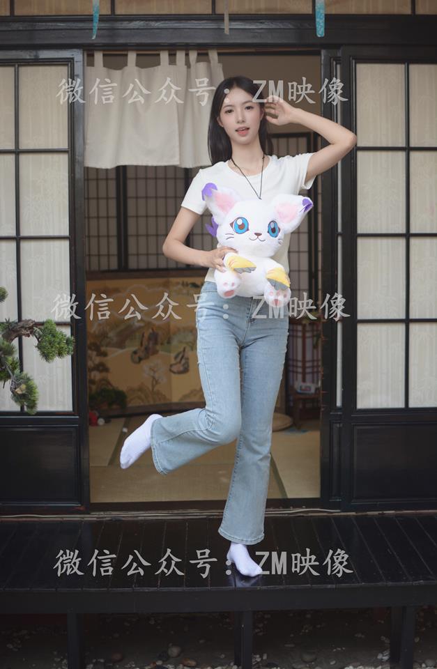 织梦映像-光明徽章完整版[278P/1V/7.03G]插图1