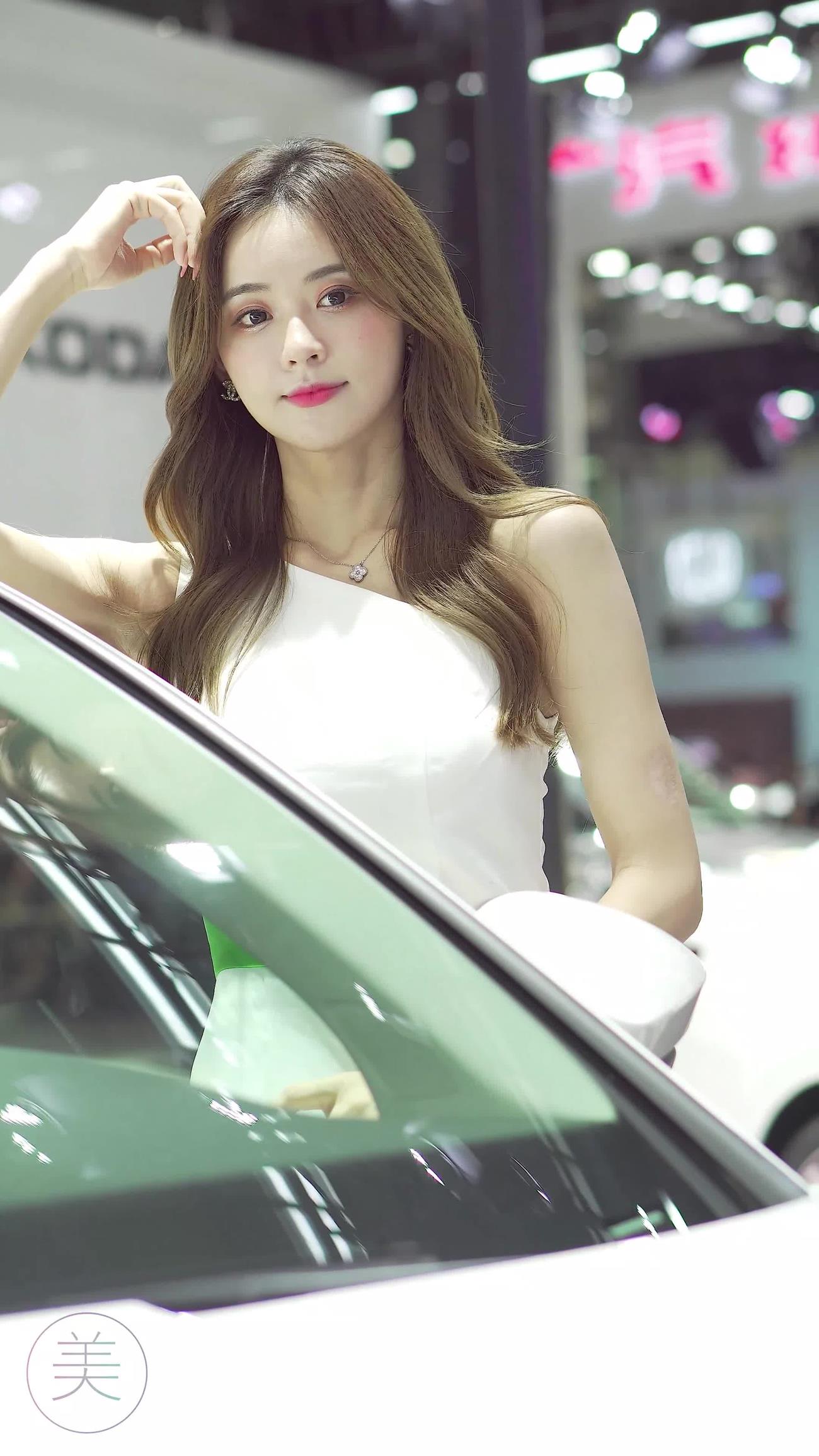 NO.0314 2021 深圳大湾区车展 Racing Model SKODA车模04[1V/487MB]插图1