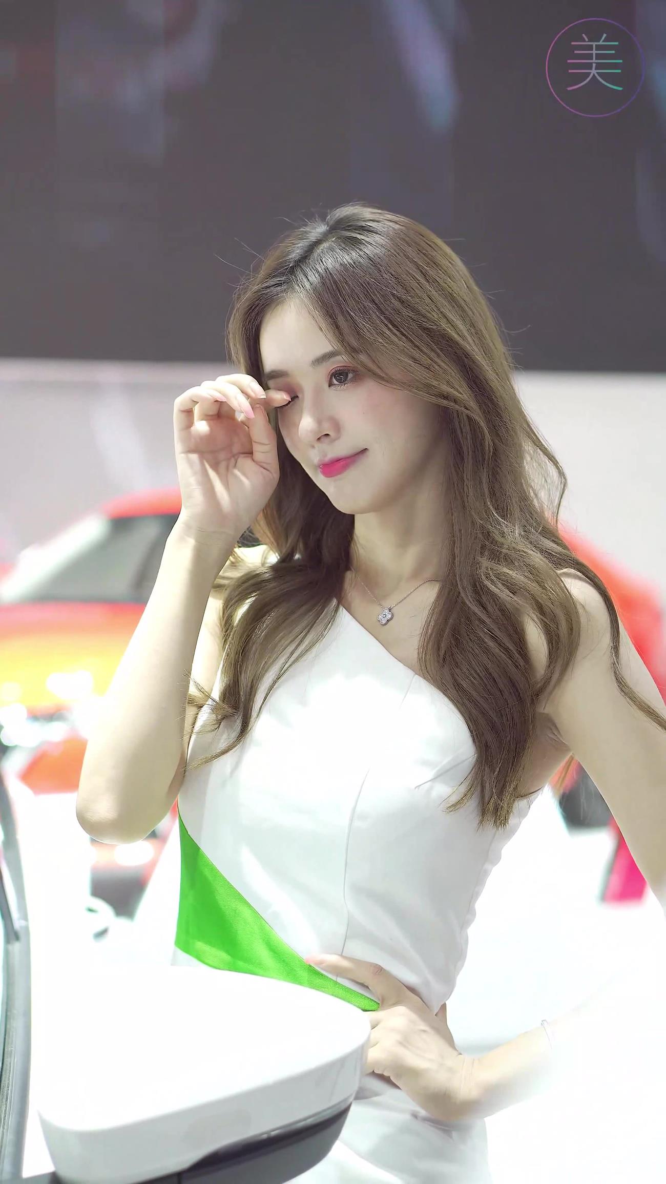 NO.0314 2021 深圳大湾区车展 Racing Model SKODA车模04[1V/487MB]插图2