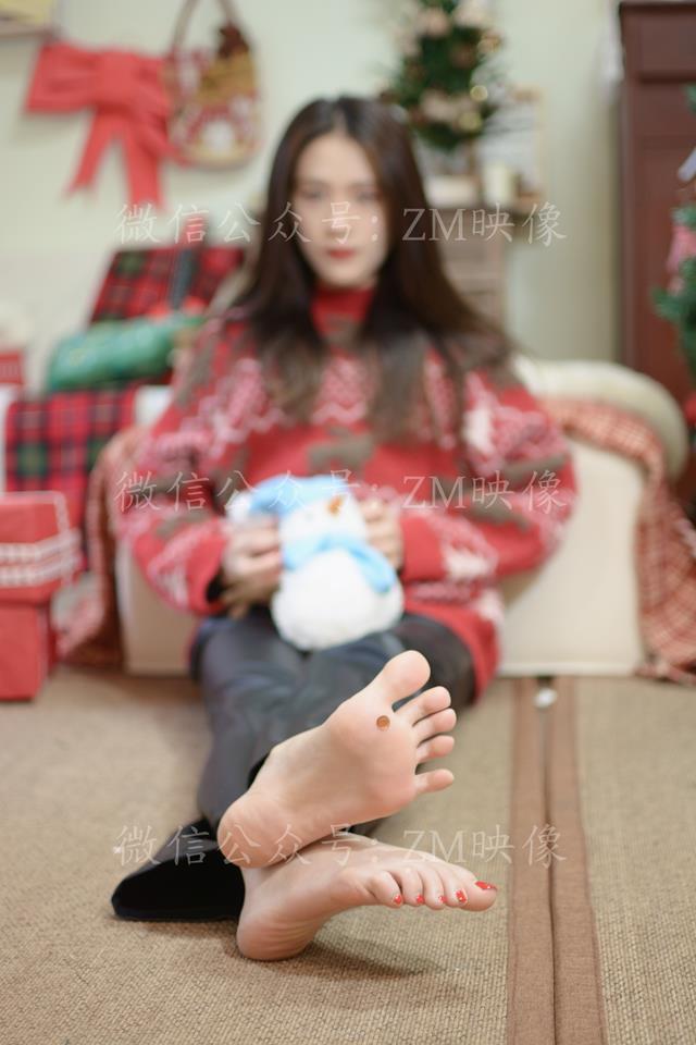 织梦圣诞麋鹿完整版[300P/1V/3.95G]插图8