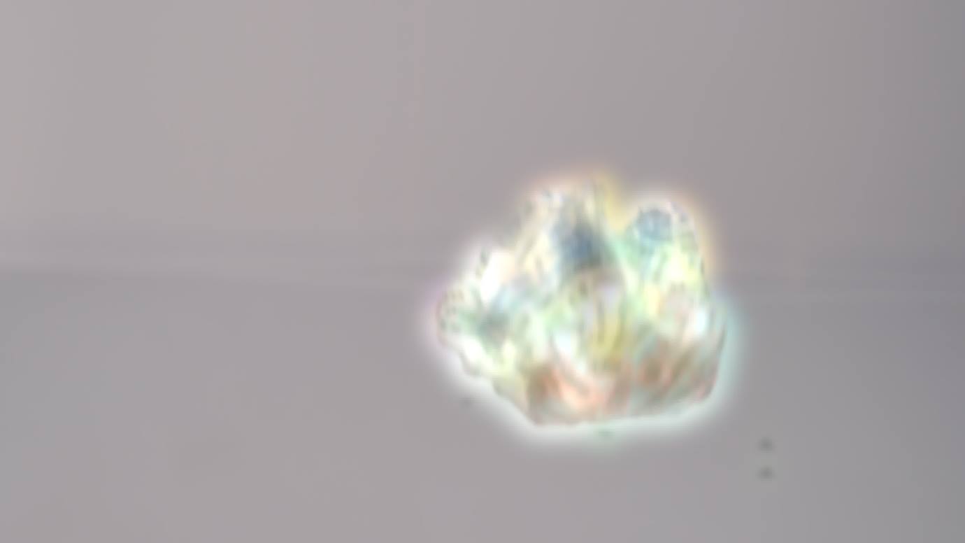 芝士好椰 – 逆天up主把粉丝名字打印到袜子上[3V/1.04GB]插图