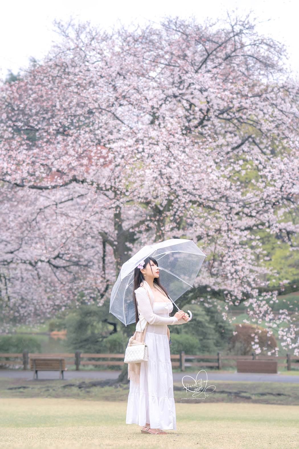 Hane Ame 雨波写真 – 雨樱下的约定[62P/4V/927MB]插图2