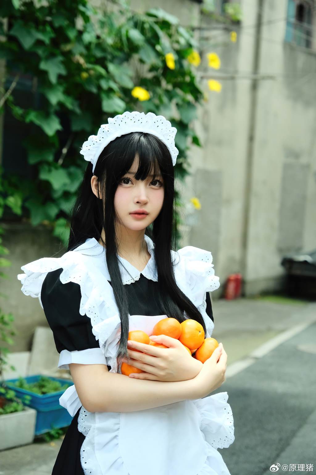 白莉爱吃巧克力 – 原理猪 深巷钕仆[11P/487MB]插图3