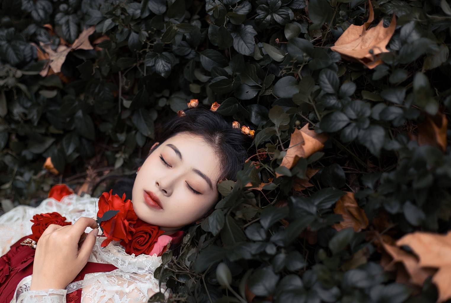 [YITUYU艺图语]2022.11.05 最后一朵玫瑰 ASOE[24+1P/404MB]插图1