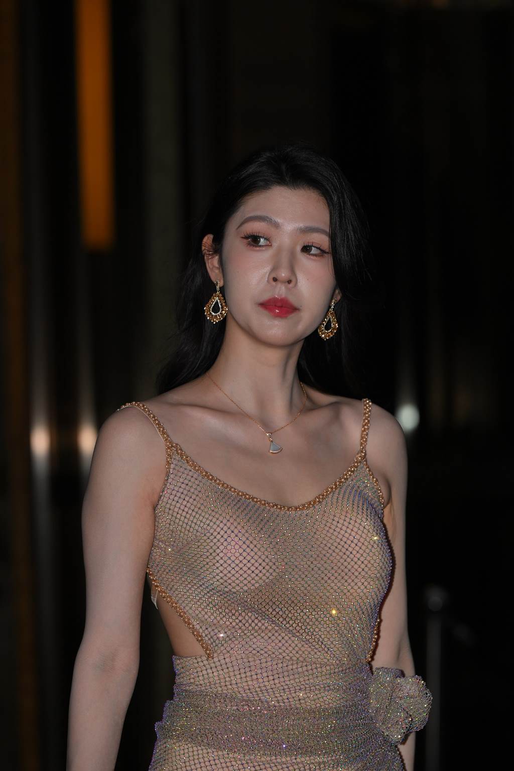 精选街拍作品 NO.6085 棕色缕空长裙[77P/238MB]插图2