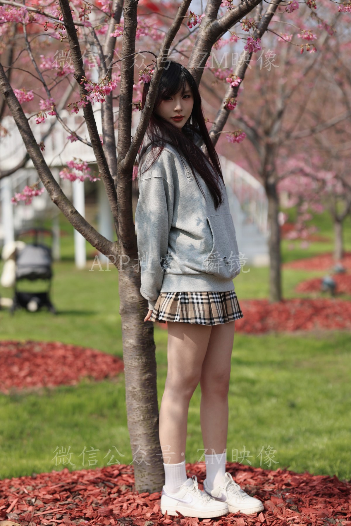 织梦映像 少女与樱-待到樱花烂漫时 完整版 [298P/1V/5.6G]插图2