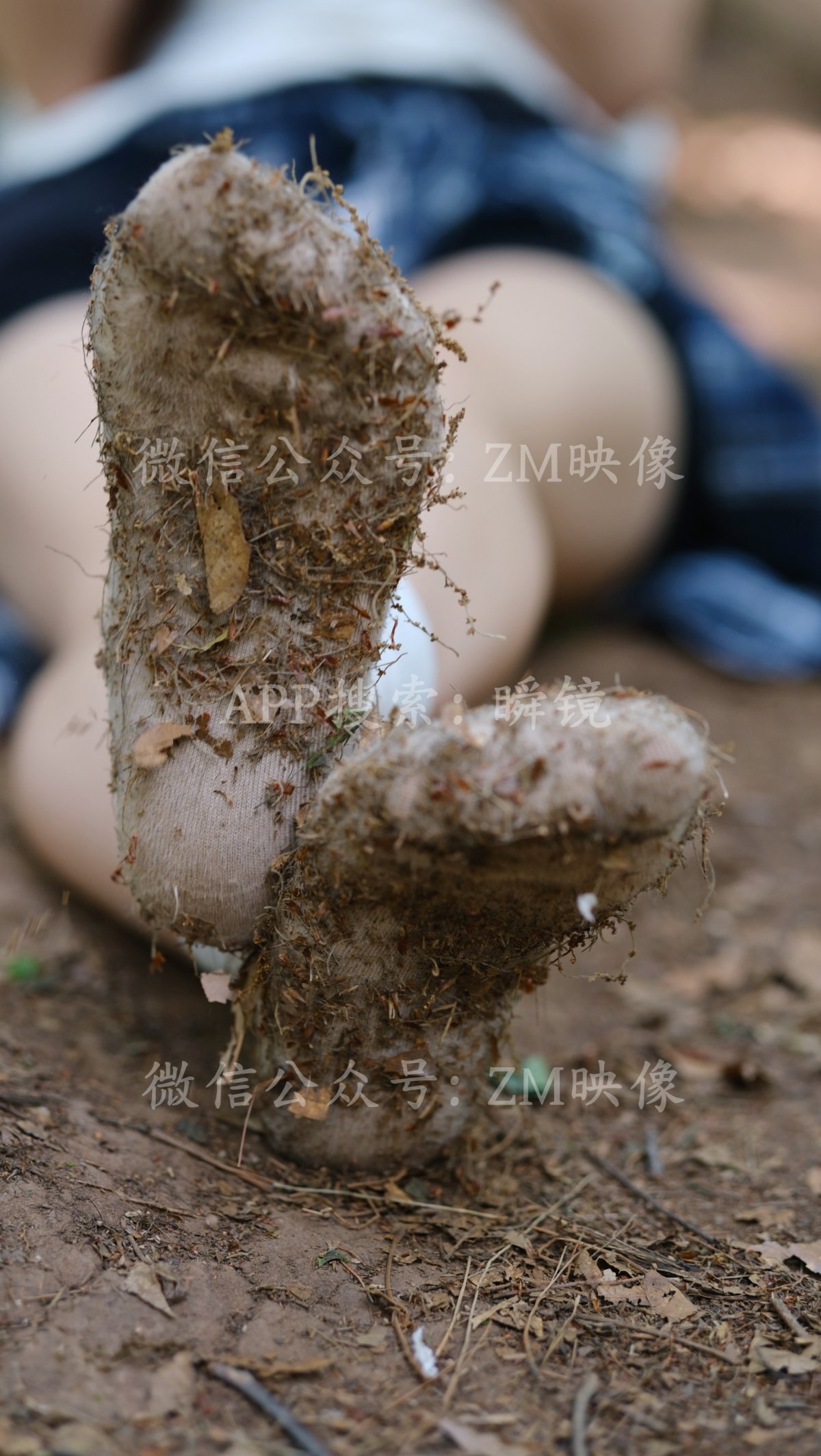 织梦映像 越过山丘-平芜尽处是春山 典藏版+短肉版 [673P/2V/9G]插图9