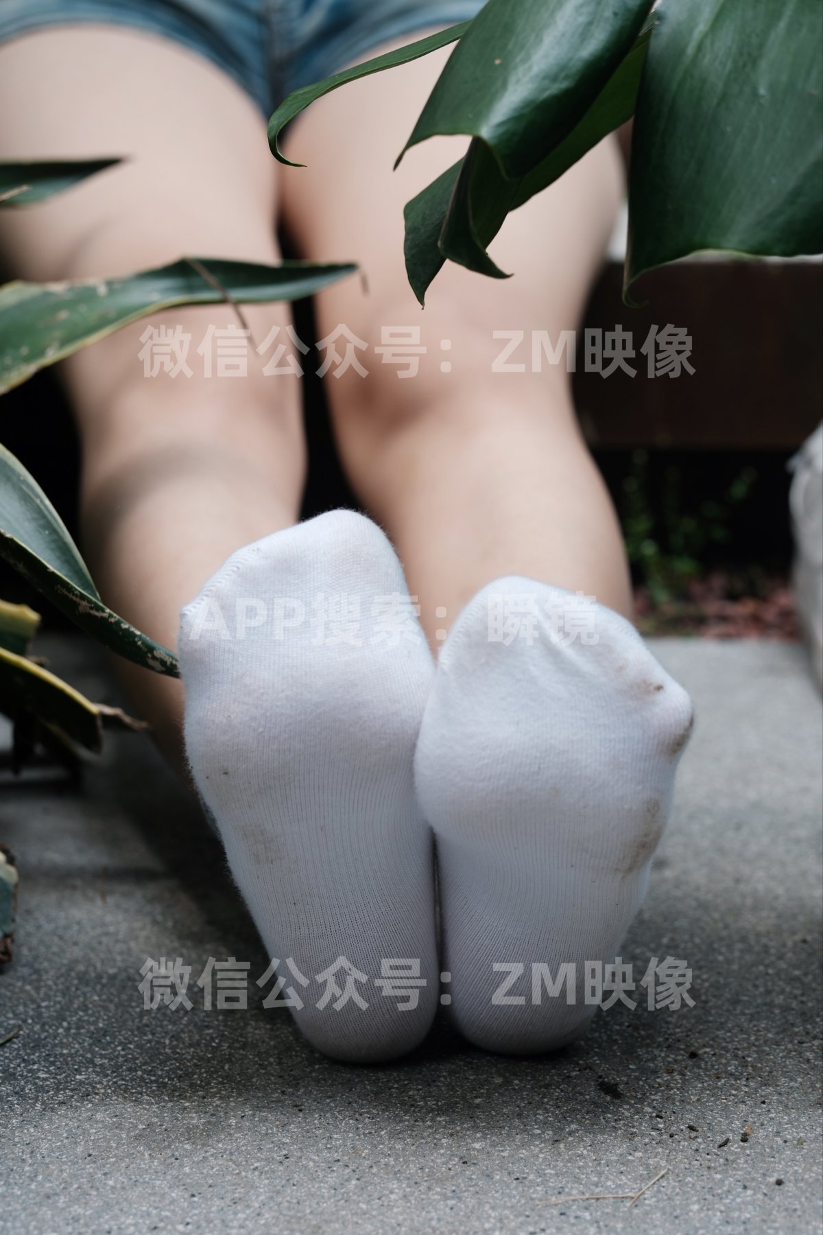 织梦映像 东郊记忆-我辈岂是蓬蒿人 典藏版 [420P/1V/6.8G]插图4