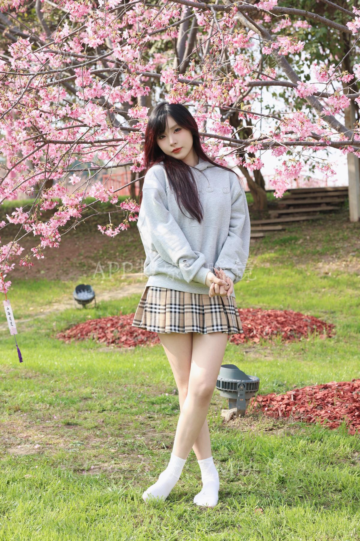 织梦映像 少女与樱-待到樱花烂漫时 完整版 [298P/1V/5.6G]插图11