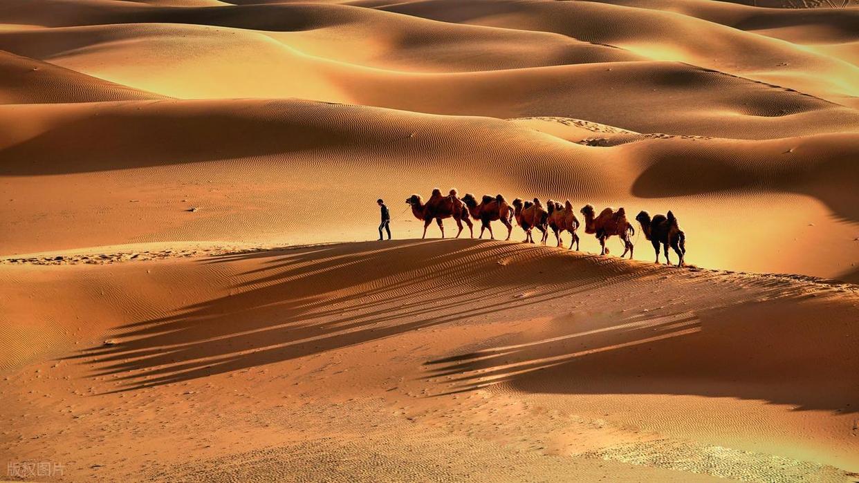 摄影小白必看！学摄影真有那么难？插图7