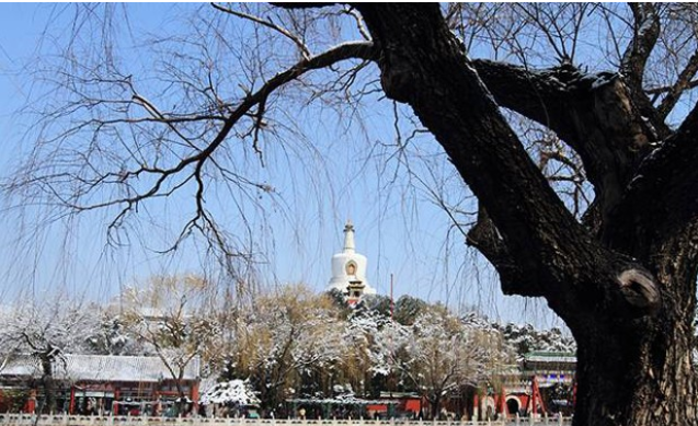 影技巧 如何使用曝光补偿与包围曝光插图2