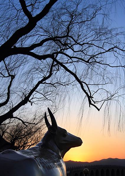 影技巧 如何使用曝光补偿与包围曝光插图6