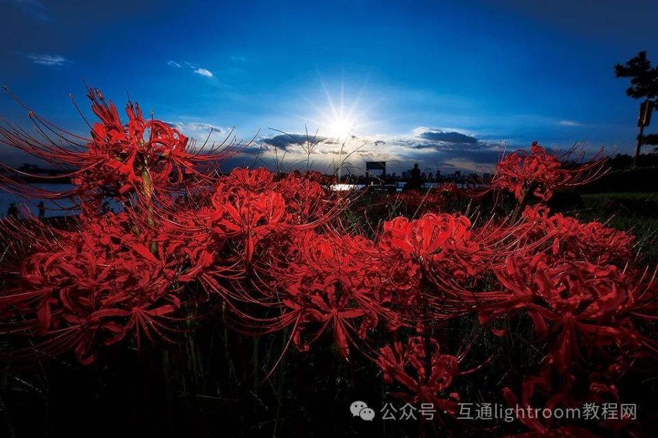 风光摄影没思路，值得尝试的5个技巧插图2