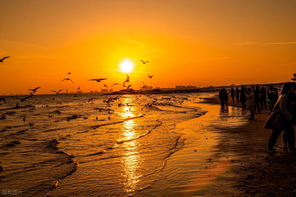 波光粼粼水面拍摄全攻略：从参数到氛围的核心技巧插图3