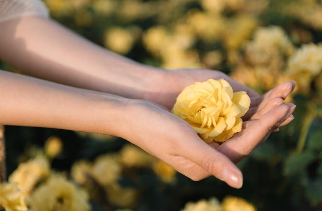 新手也能学会的7个拍照技巧，花海人像这样拍，拍出你的各种美插图3