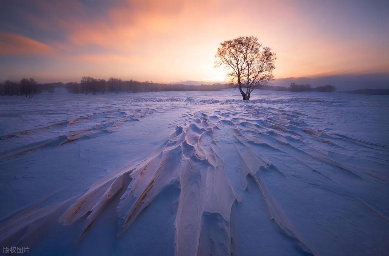 摄影构图避坑指南:拍出好片的关键要点插图3 摄影构图避坑指南:拍出好片的关键要点插图3