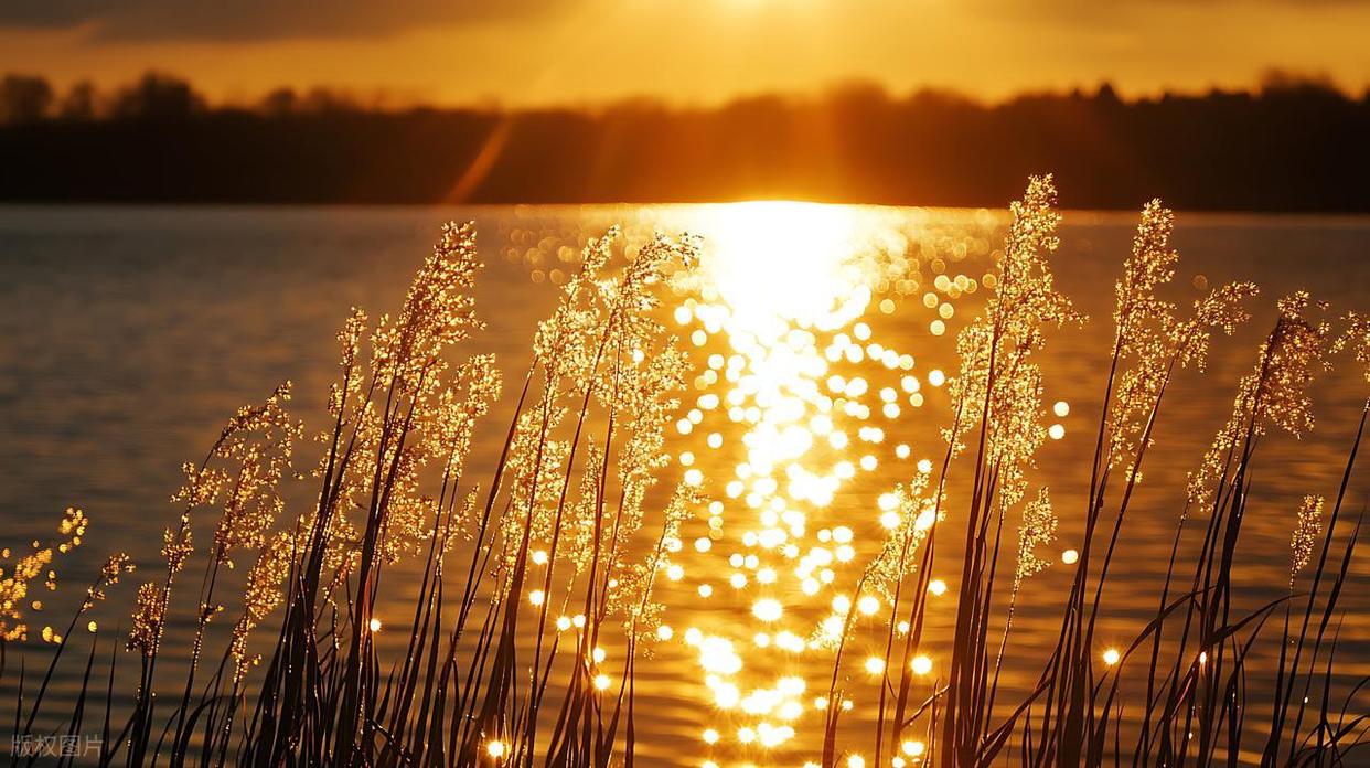 波光粼粼水面拍摄全攻略：从参数到氛围的核心技巧插图8