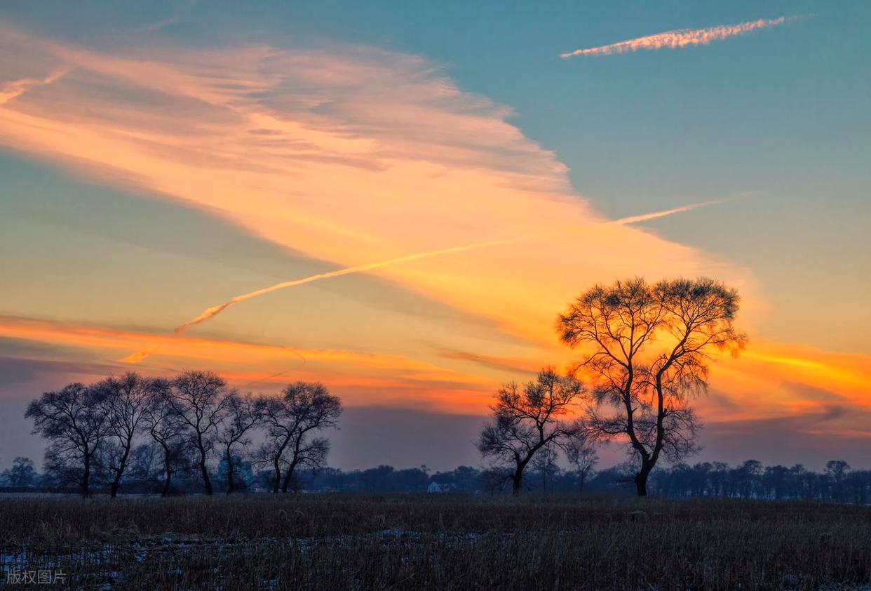 摄影小白实操:解锁光线与背景的完美搭配插图3 摄影小白实操:解锁光线与背景的完美搭配插图3