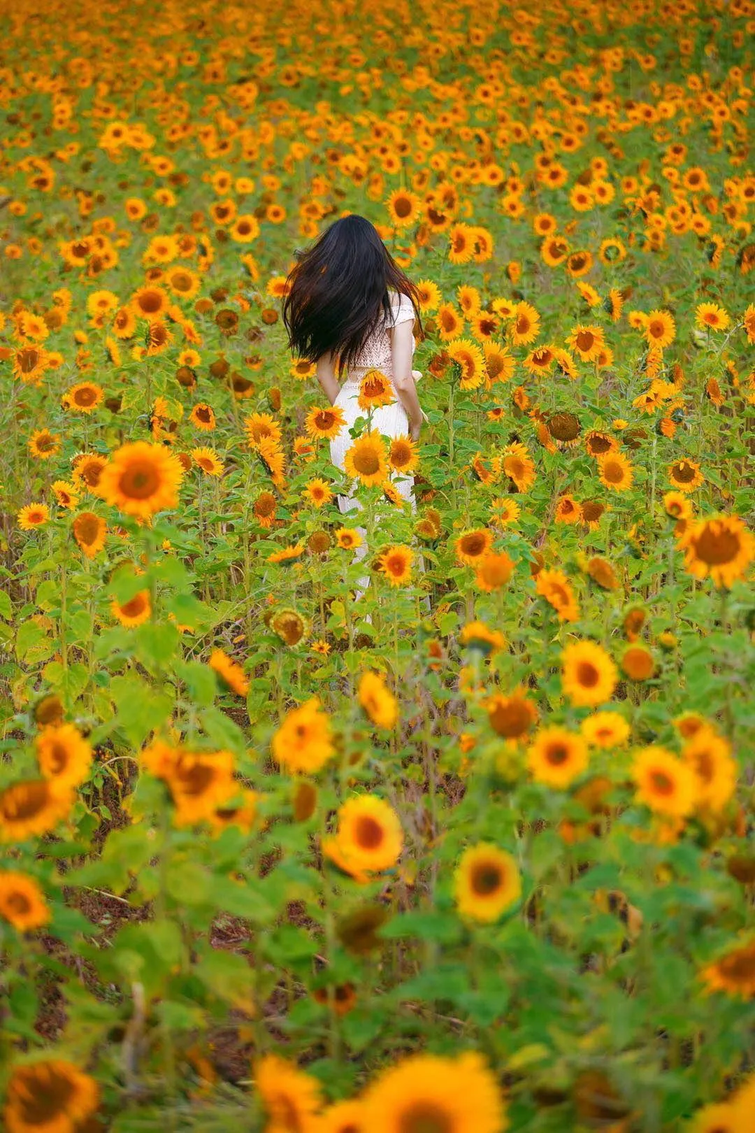 解锁花海人像拍照姿势，简单易学的7个姿势，帮你拍出高质量作品插图5
