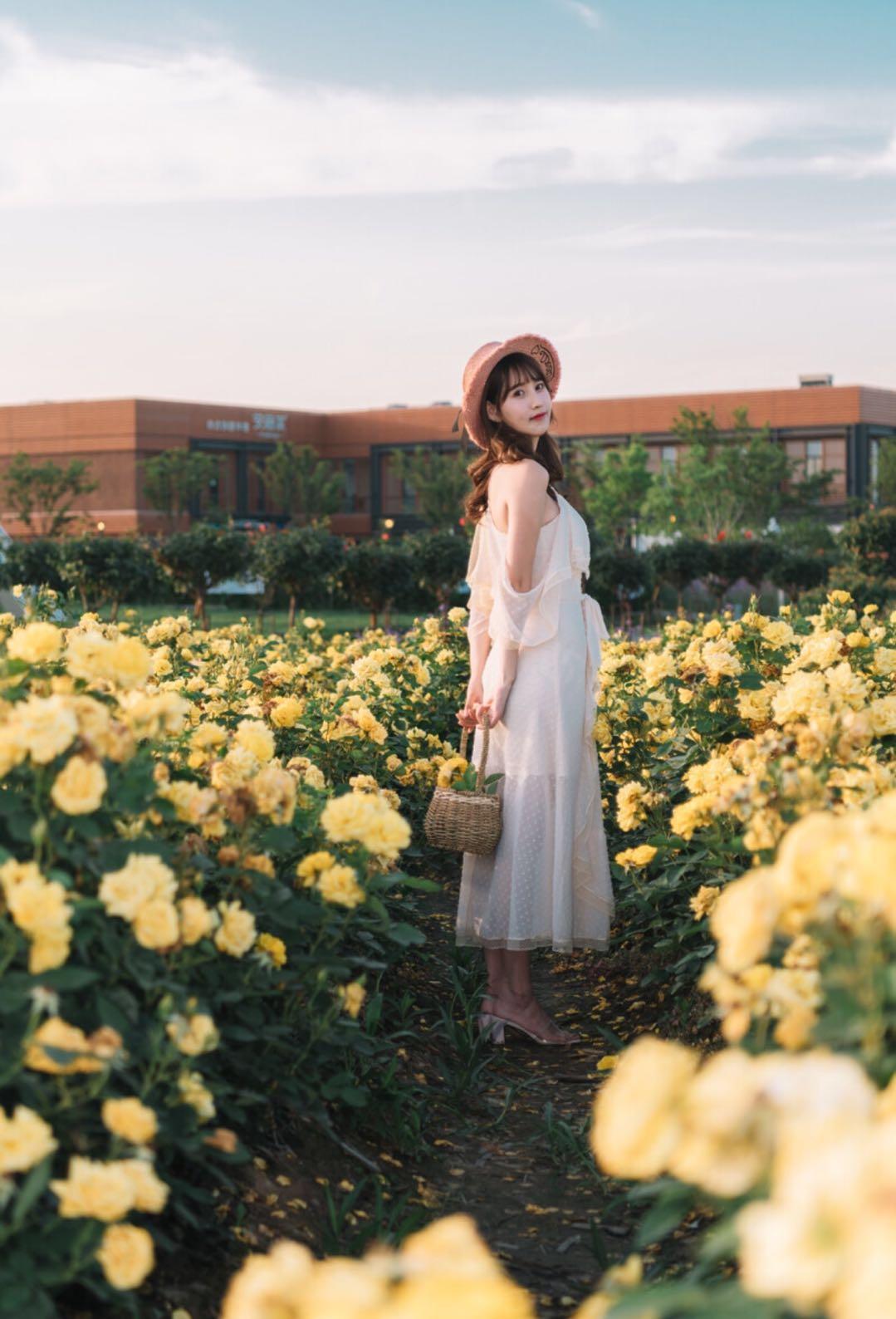 新手也能学会的7个拍照技巧，花海人像这样拍，拍出你的各种美插图4