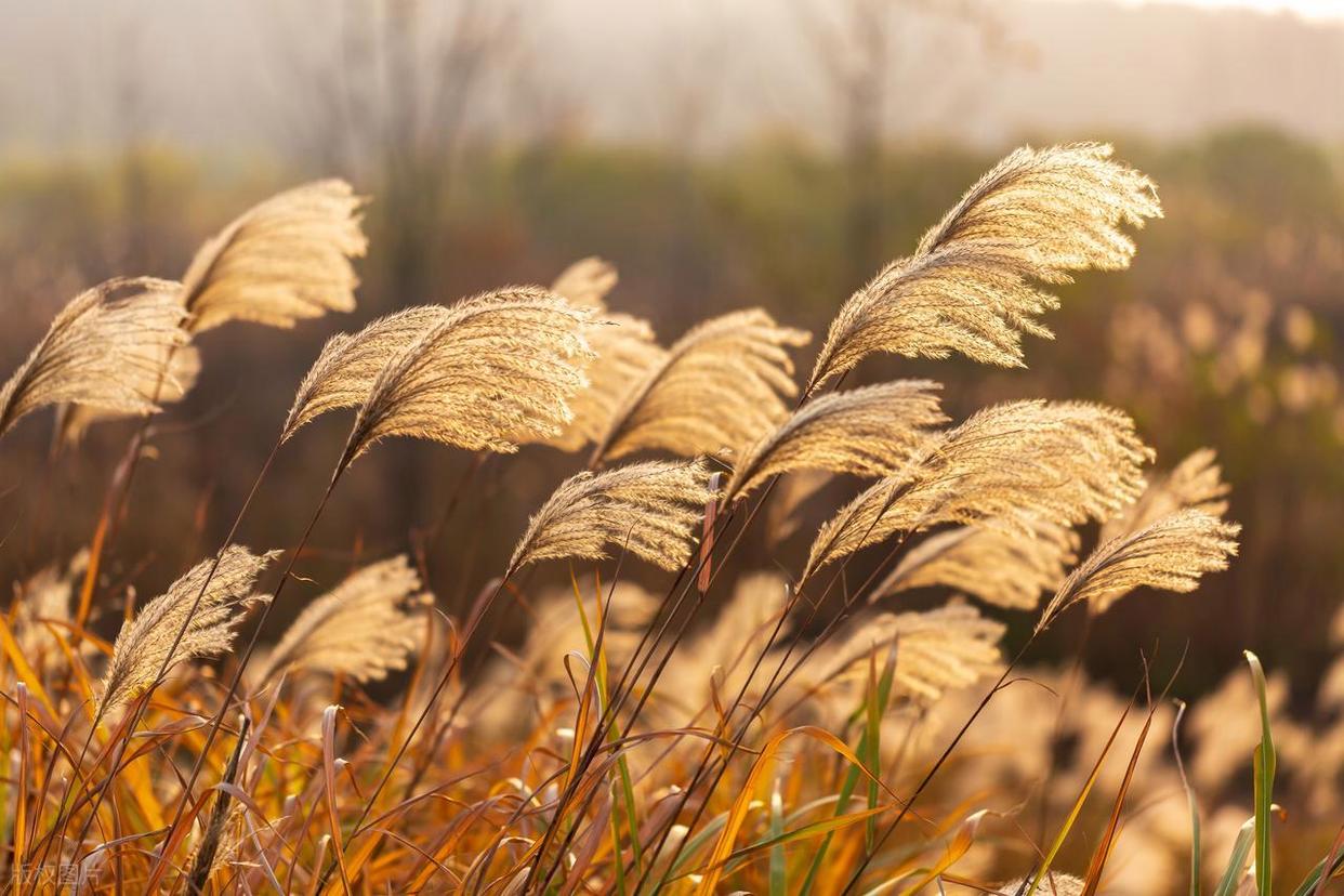 从“乱拍”到“出片”,摄影人的秘密全公开!插图6 从“乱拍”到“出片”,摄影人的秘密全公开!插图6