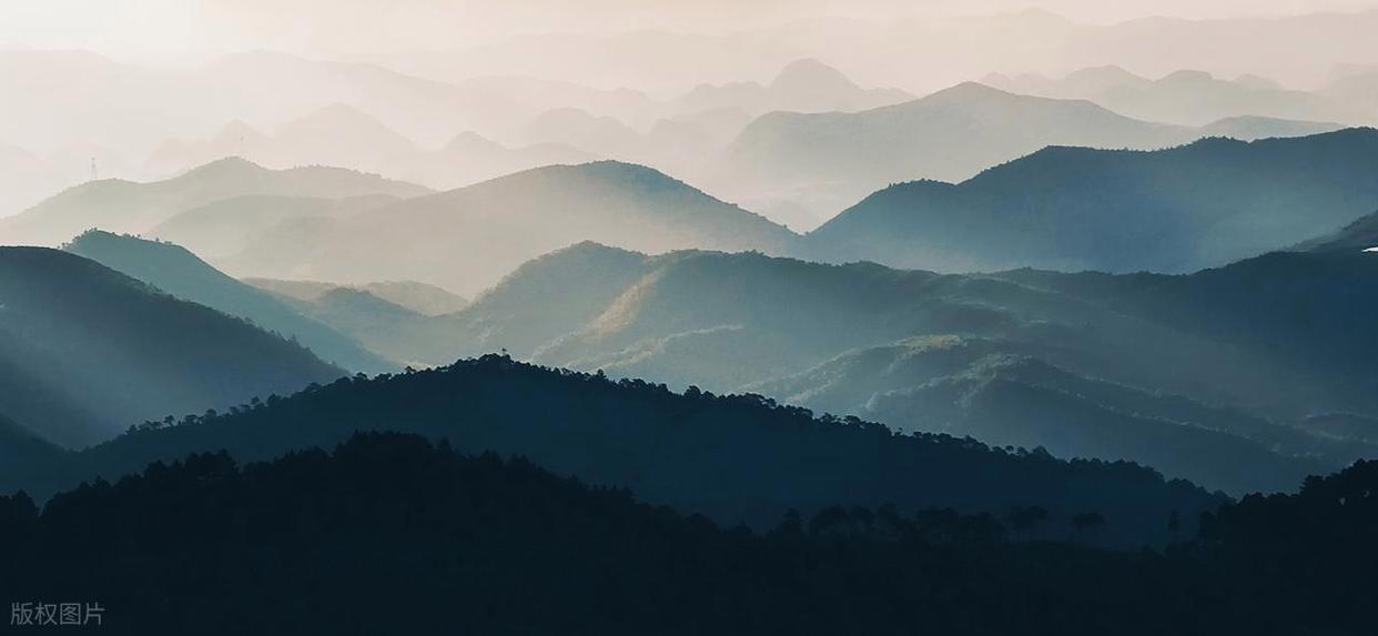 摄影小白实操:解锁光线与背景的完美搭配插图1 摄影小白实操:解锁光线与背景的完美搭配插图1