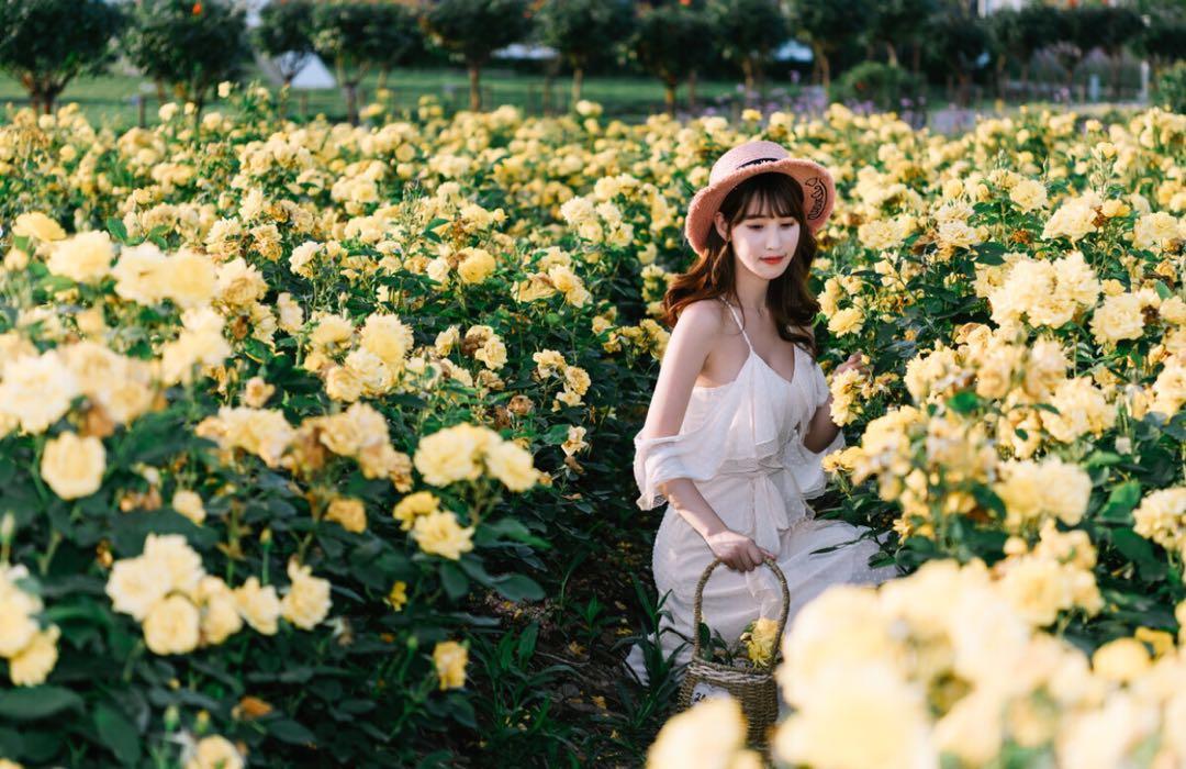 新手也能学会的7个拍照技巧，花海人像这样拍，拍出你的各种美插图5