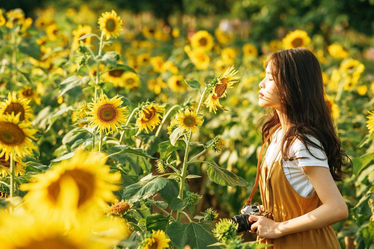 新手也能学会的7个拍照技巧，花海人像这样拍，拍出你的各种美插图
