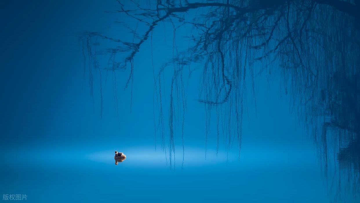 摄影小白必看！学摄影真有那么难？插图6