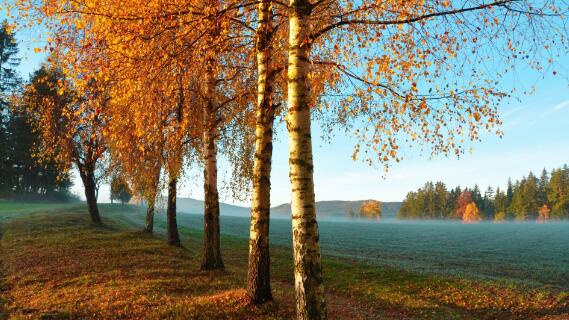 高品质风景图摄影技巧插图 高品质风景图摄影技巧插图