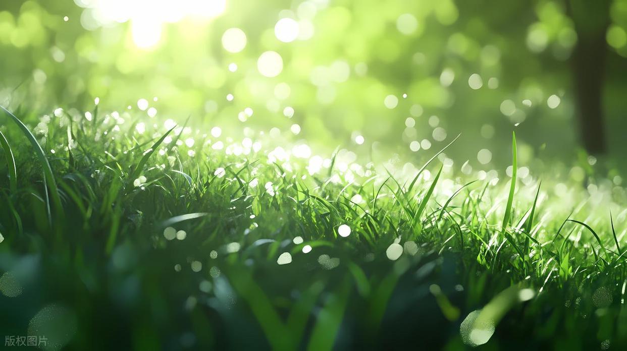 摄影构图避坑指南:拍出好片的关键要点插图11 摄影构图避坑指南:拍出好片的关键要点插图11