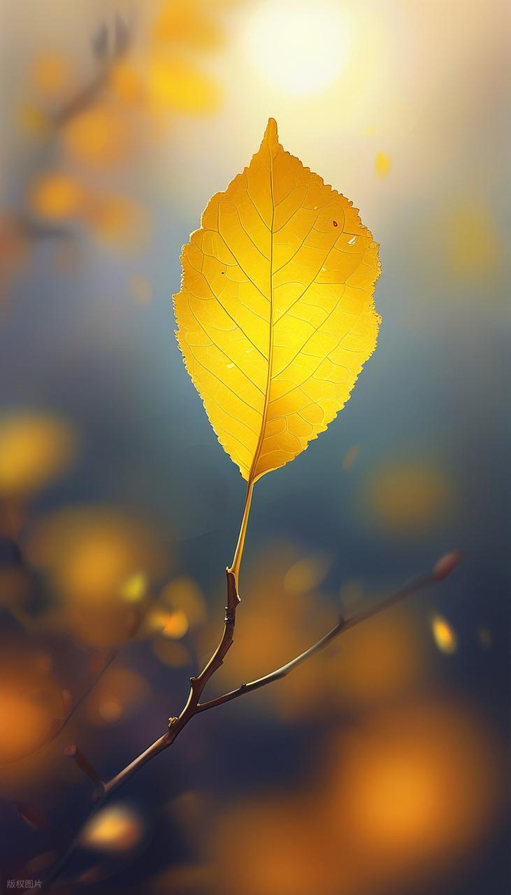 摄影小白实操:解锁光线与背景的完美搭配插图7 摄影小白实操:解锁光线与背景的完美搭配插图7