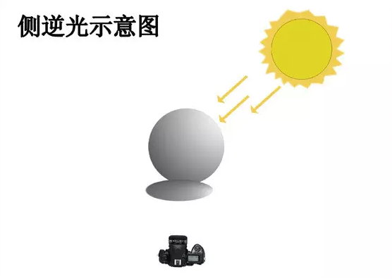 摄影技巧 一盏灯搞定美食摄影插图4