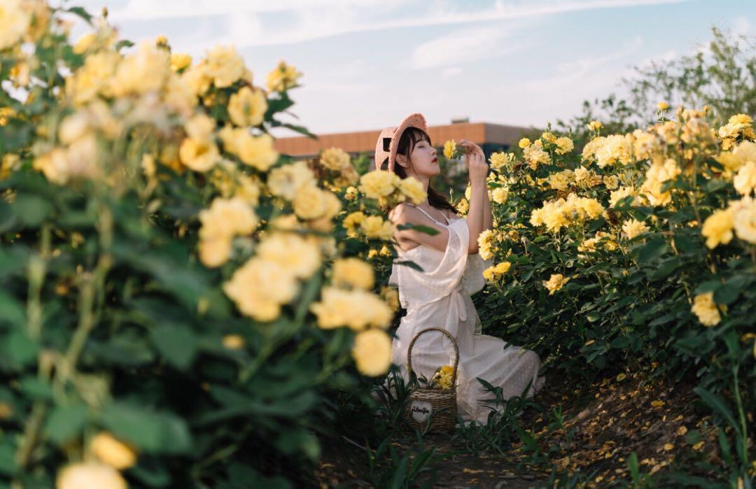 新手也能学会的7个拍照技巧，花海人像这样拍，拍出你的各种美插图2