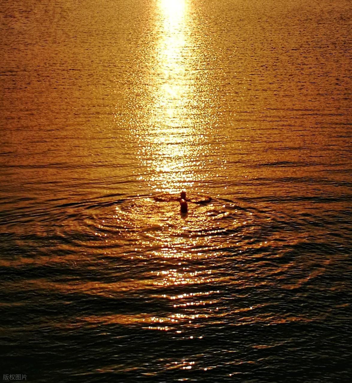 波光粼粼水面拍摄全攻略：从参数到氛围的核心技巧插图12