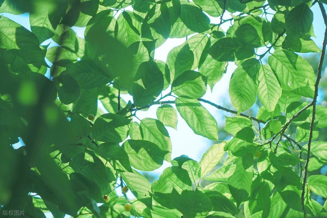 从“乱拍”到“出片”,摄影人的秘密全公开!插图 从“乱拍”到“出片”,摄影人的秘密全公开!插图