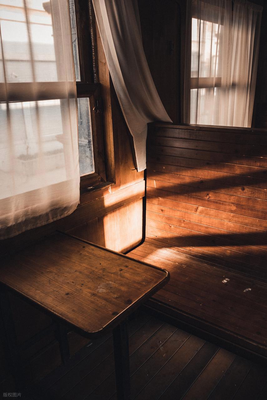 摄影小白实操:解锁光线与背景的完美搭配插图16 摄影小白实操:解锁光线与背景的完美搭配插图16