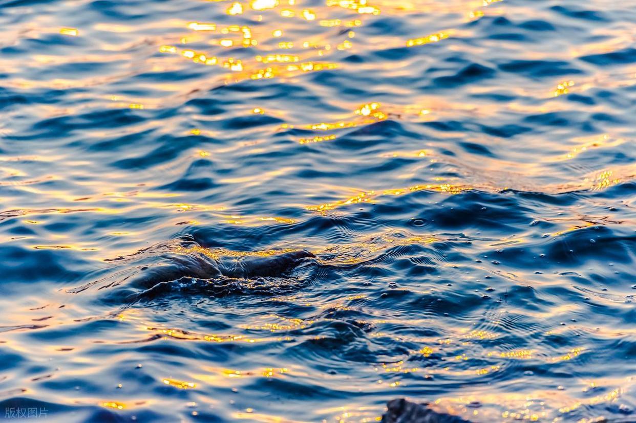 波光粼粼水面拍摄全攻略：从参数到氛围的核心技巧插图11