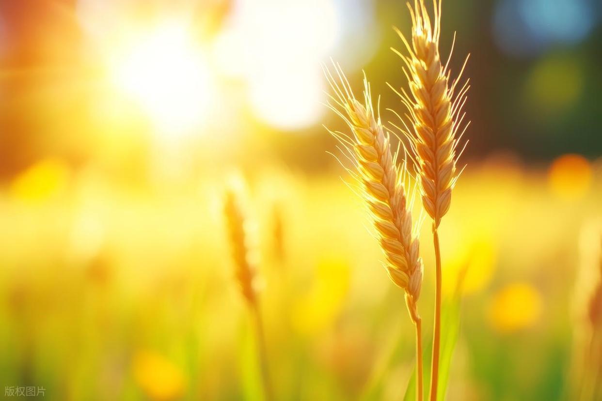 摄影小白实操:解锁光线与背景的完美搭配插图14 摄影小白实操:解锁光线与背景的完美搭配插图14