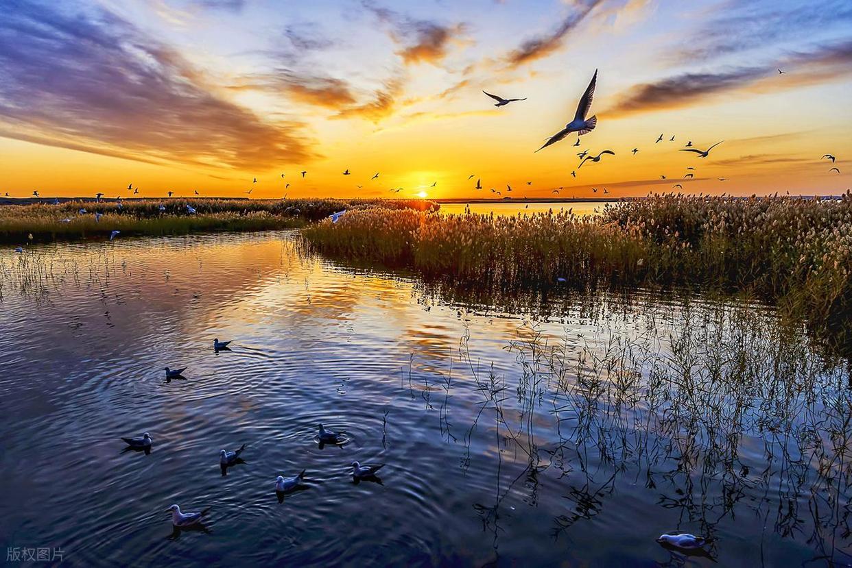 从“乱拍”到“出片”,摄影人的秘密全公开!插图7 从“乱拍”到“出片”,摄影人的秘密全公开!插图7